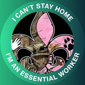 Meet your Posher, Trish